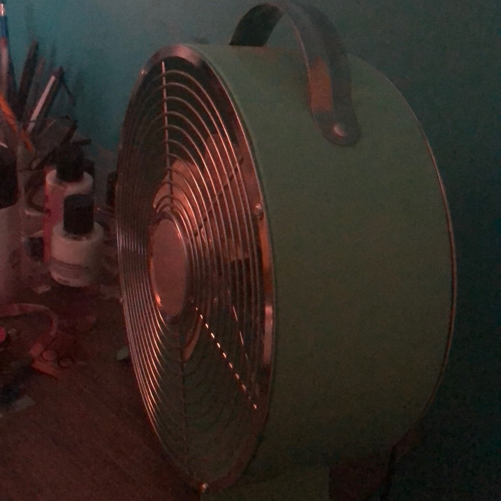 Fan. - Picture 2 of 3